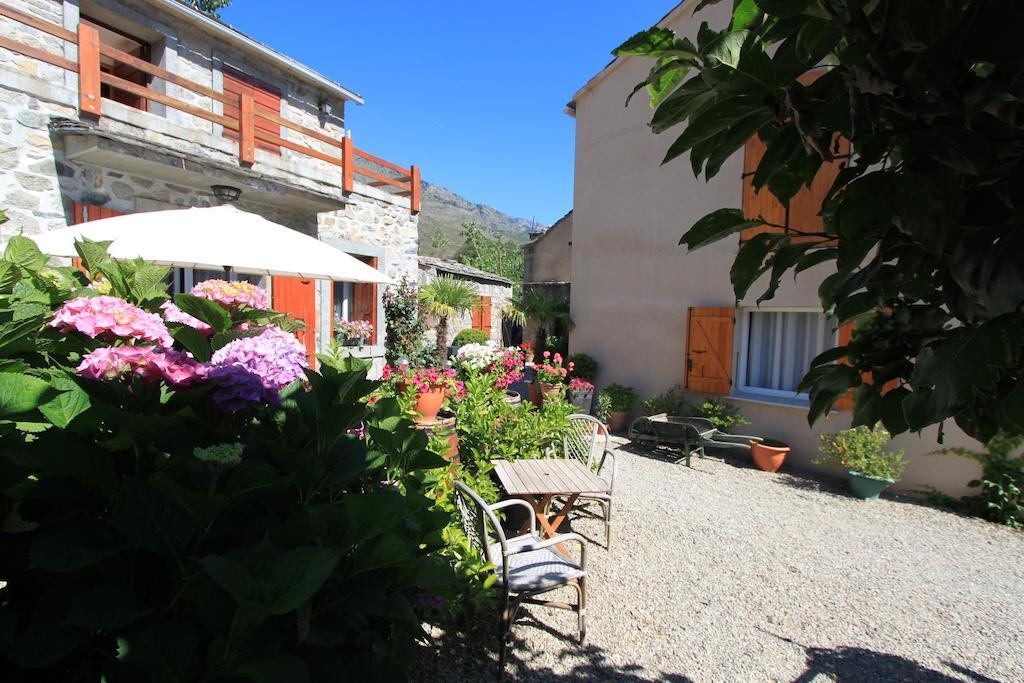 A Mandria, Appartements Avec Cuisine 30M2, Patio, Vue Montagnes Et Citadelle, 5 Minutes A Pied Du Centre Ville Et Des Rivieres Corte  Eksteriør billede