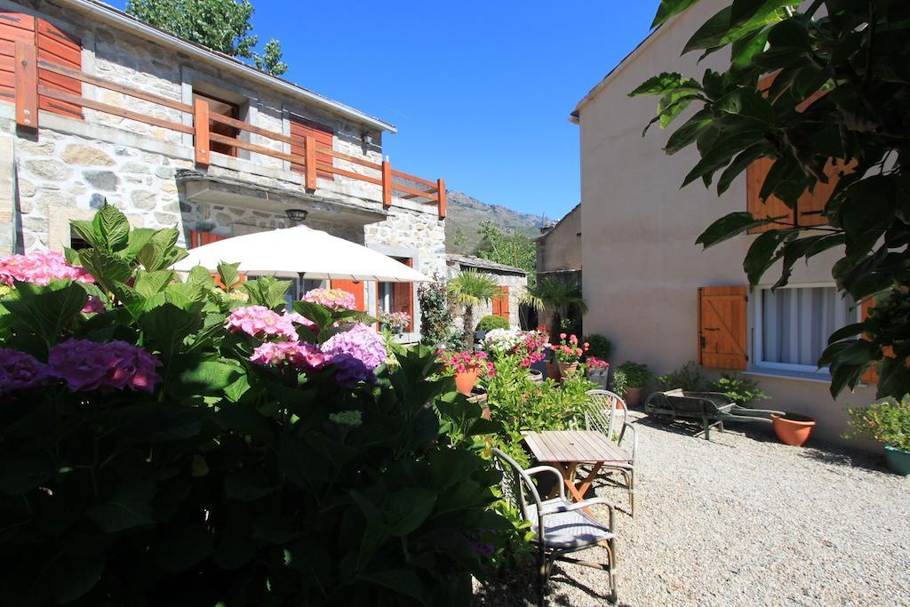 A Mandria, Appartements Avec Cuisine 30M2, Patio, Vue Montagnes Et Citadelle, 5 Minutes A Pied Du Centre Ville Et Des Rivieres Corte  Eksteriør billede