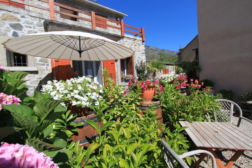A Mandria, Appartements Avec Cuisine 30M2, Patio, Vue Montagnes Et Citadelle, 5 Minutes A Pied Du Centre Ville Et Des Rivieres Corte  Eksteriør billede