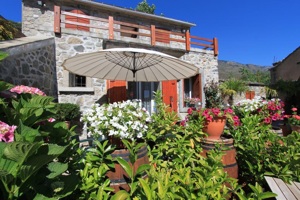 A Mandria, Appartements Avec Cuisine 30M2, Patio, Vue Montagnes Et Citadelle, 5 Minutes A Pied Du Centre Ville Et Des Rivieres Corte  Eksteriør billede