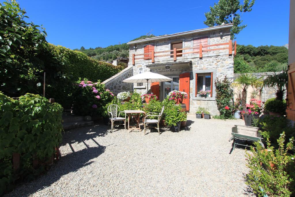 A Mandria, Appartements Avec Cuisine 30M2, Patio, Vue Montagnes Et Citadelle, 5 Minutes A Pied Du Centre Ville Et Des Rivieres Corte  Eksteriør billede