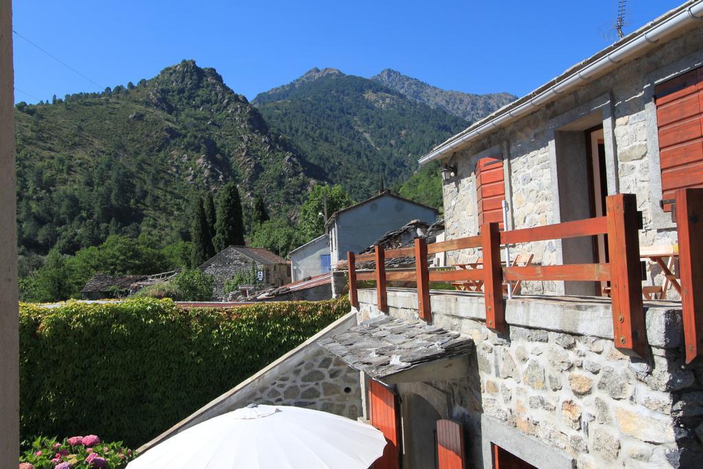 A Mandria, Appartements Avec Cuisine 30M2, Patio, Vue Montagnes Et Citadelle, 5 Minutes A Pied Du Centre Ville Et Des Rivieres Corte  Eksteriør billede